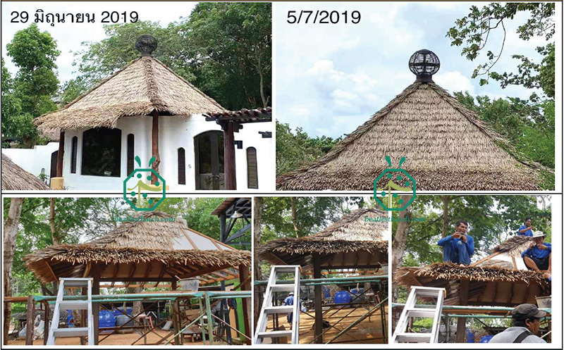 Instalação de telhado de palha artificial para resort à beira-mar, villa de praia de hotel, chalé com vista para o mar, pátio de parque municipal, gazebo de quintal, abrigo tiki hut